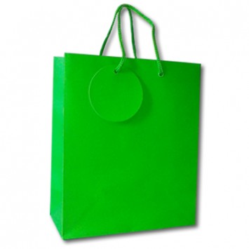 Medium Gift Bag - Green (12) WMGB-6474-3
